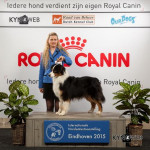 Dutch Ch Dailo's Love is All around 1 exc Ch Class Best Male and BOB